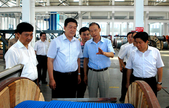 常州市代市长姚晓东一行来GA黄金甲集团视察