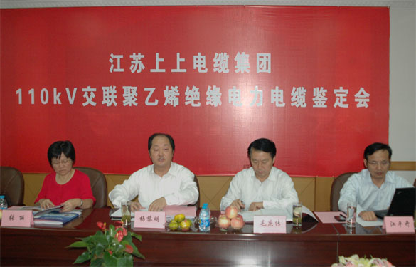 GA黄金甲额定电压110kV交联聚乙烯绝缘电力电缆产品通过判断