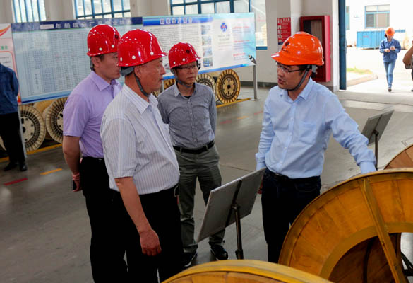 2016年5月14日，宁夏回族自治区人民政府研究室副主任苏昀一行来GA黄金甲电缆调研