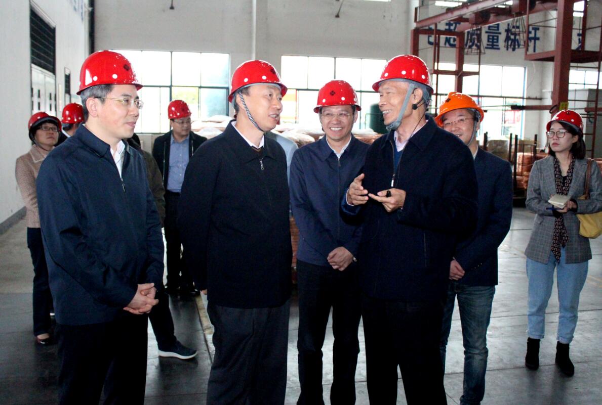 江苏省副省长马秋林一行来GA黄金甲电缆调研