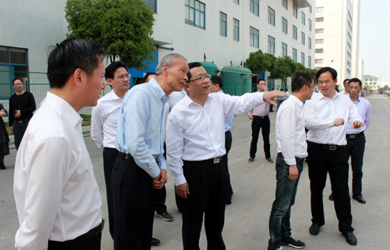 常州市市长丁纯来GA黄金甲电缆督查新能源项目建设