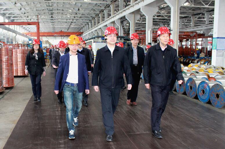 南京市六合区党政代表团来GA黄金甲电缆旅行考察