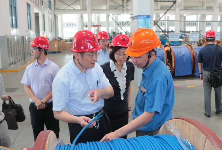 2016年7月22日，泸州市委常委、副市长王建翔一行来GA黄金甲电缆旅行考察