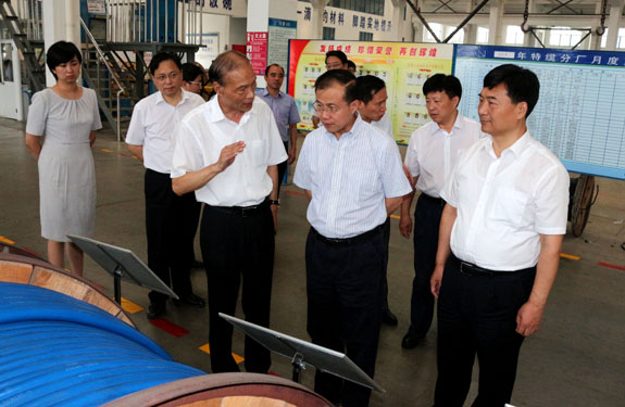 江苏省副省长傅自应来GA黄金甲集团视察