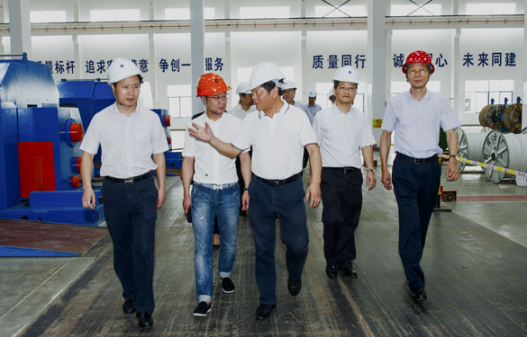 金坛区党政向导来GA黄金甲电缆旅行考察