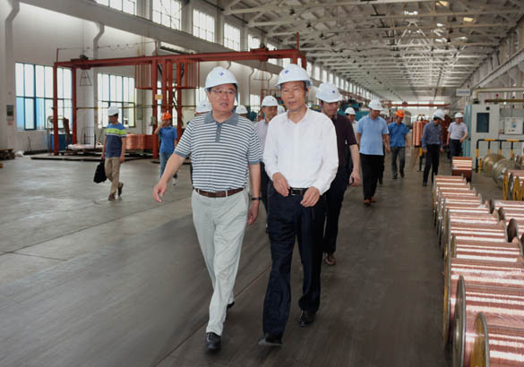 中国恒天集团董事长张杰一行来GA黄金甲电缆旅行考察