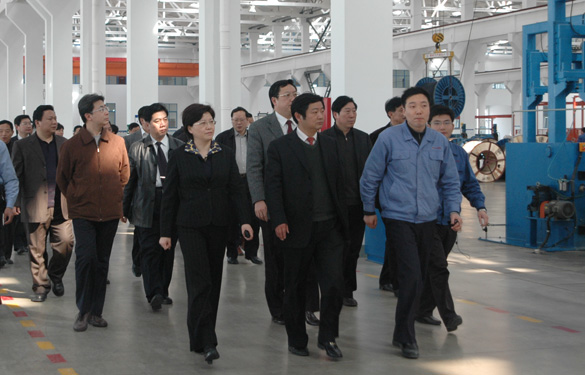 安徽省天长市党政代表团百余人来GA黄金甲集团旅行考察