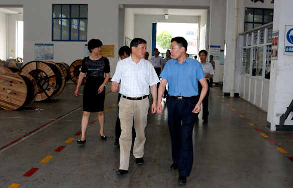 常州市人大向导一行来GA黄金甲集团调研