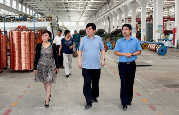 常州市新北区人大向导一行来GA黄金甲集团调研