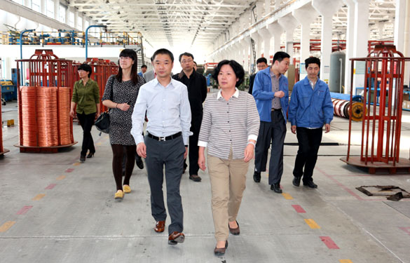 江苏省环保厅总工程师刘建琳来GA黄金甲集团调研