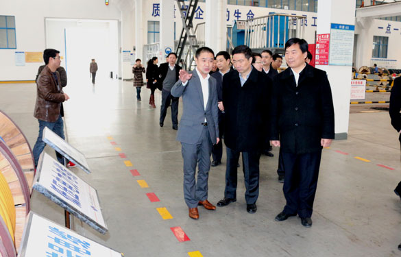 常州市高新区党工委书记张东海一行来GA黄金甲集团调研