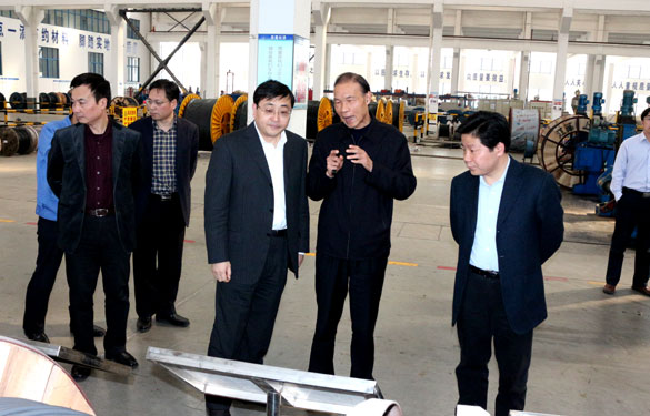 常州市委副书记、市政府党组书记费高云来GA黄金甲集团调研