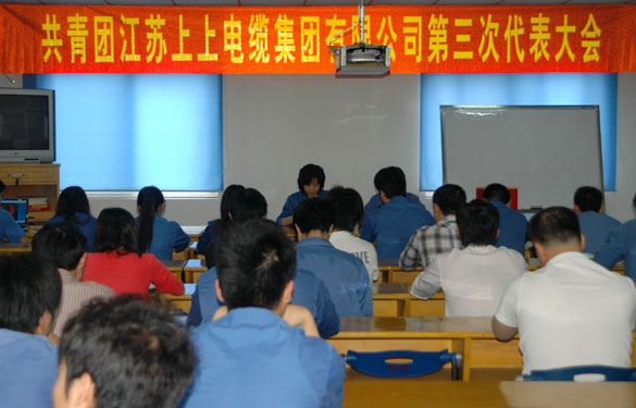 共青团GA黄金甲第三届代表大会暨换届选举大会胜利召开