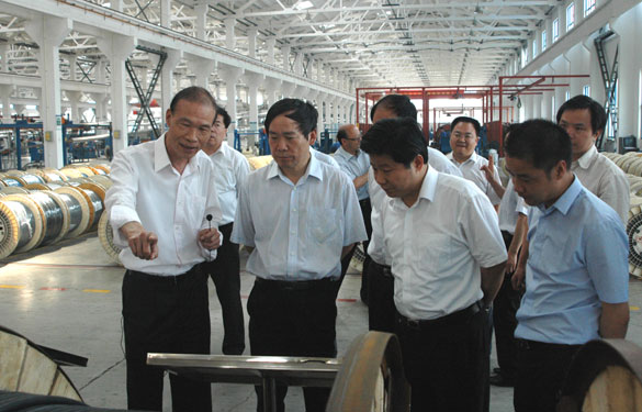 江苏省省长助理、省科技厅厅长徐南平来GA黄金甲集团调研