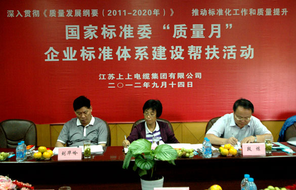 国标委“质量月”专家组到GA黄金甲检查指导事情