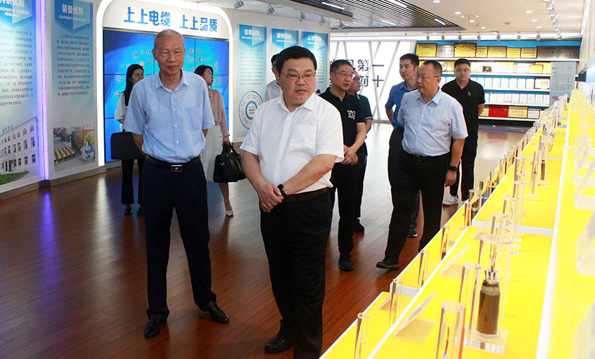 常州中院曹忠明院长一行来GA黄金甲电缆走访