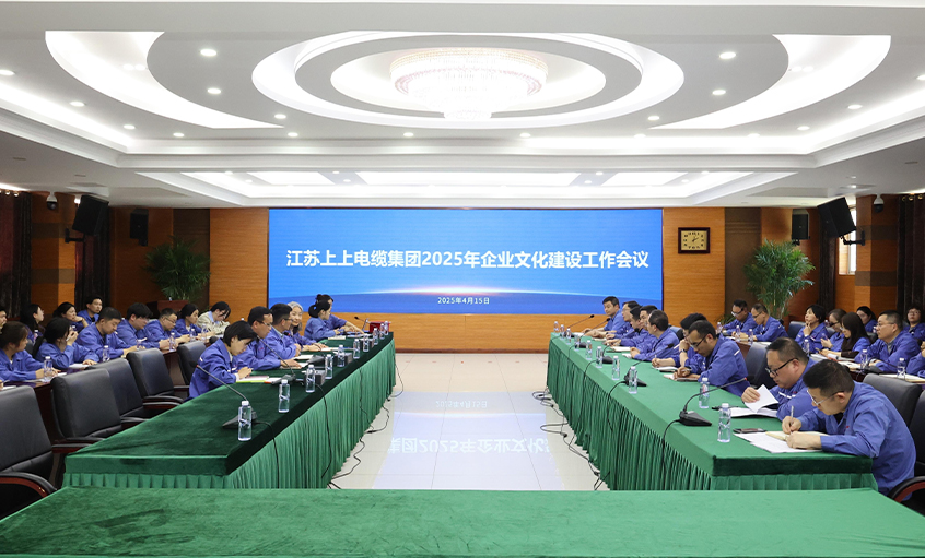 GA黄金甲电缆召开2025年企业文化建设事情聚会